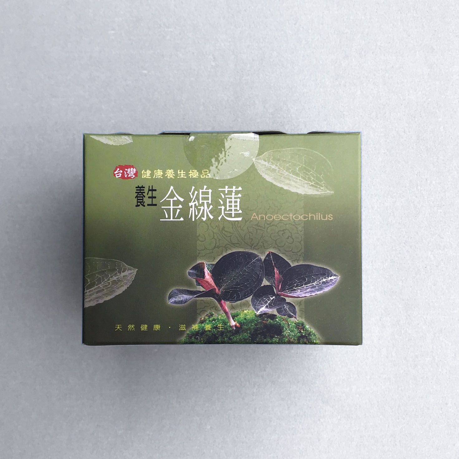 金線蓮