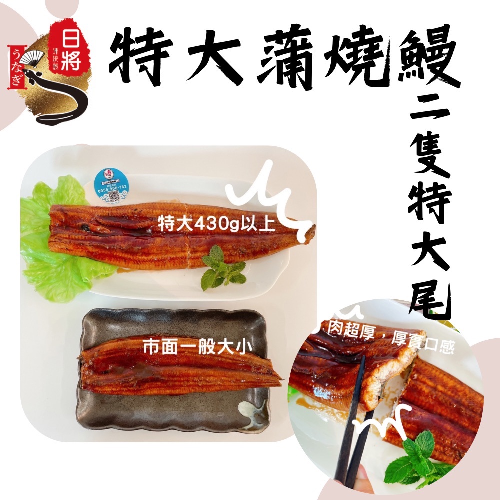 特大蒲燒鰻單尾430g以上*2提袋組