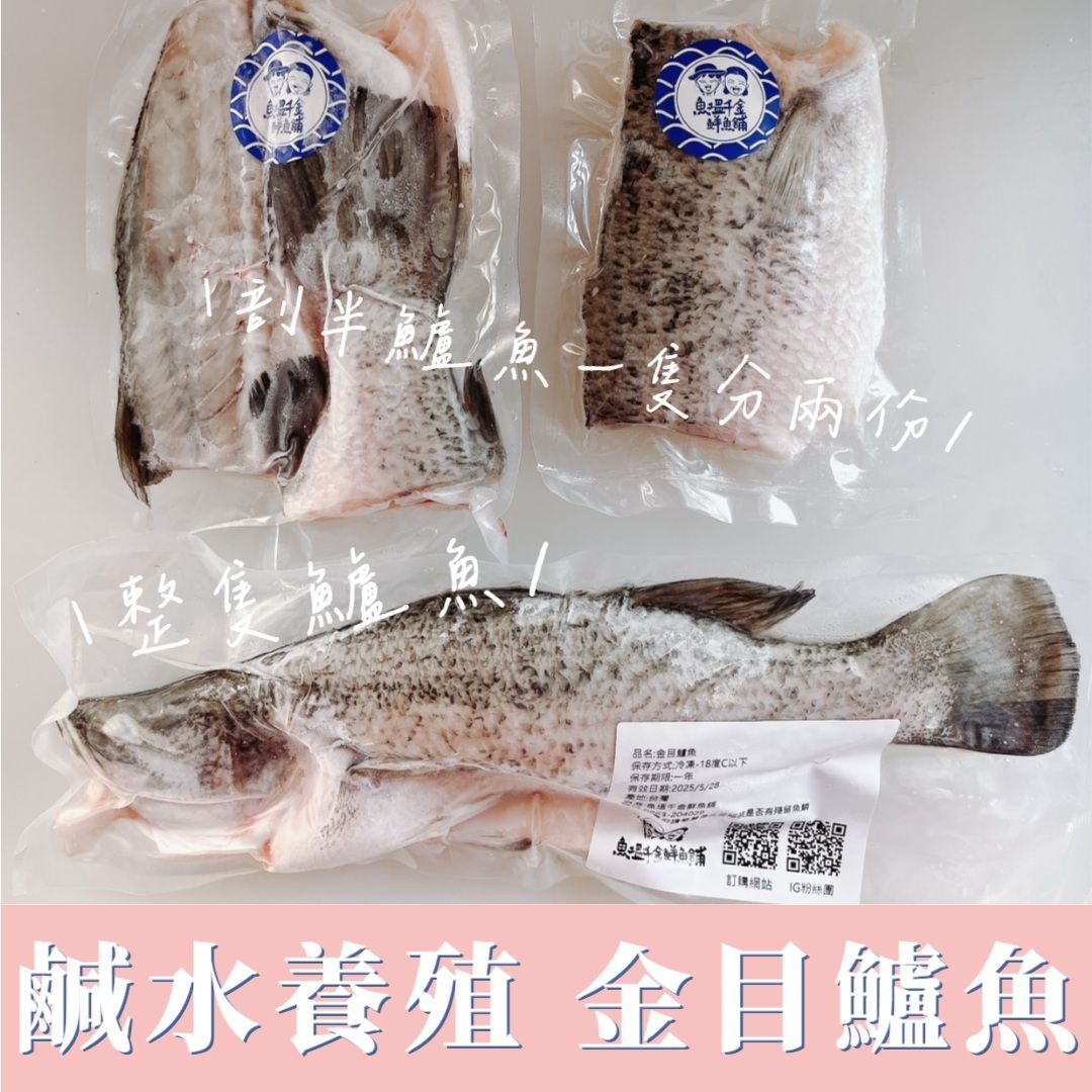 【新品】小隻鹹水鱸魚