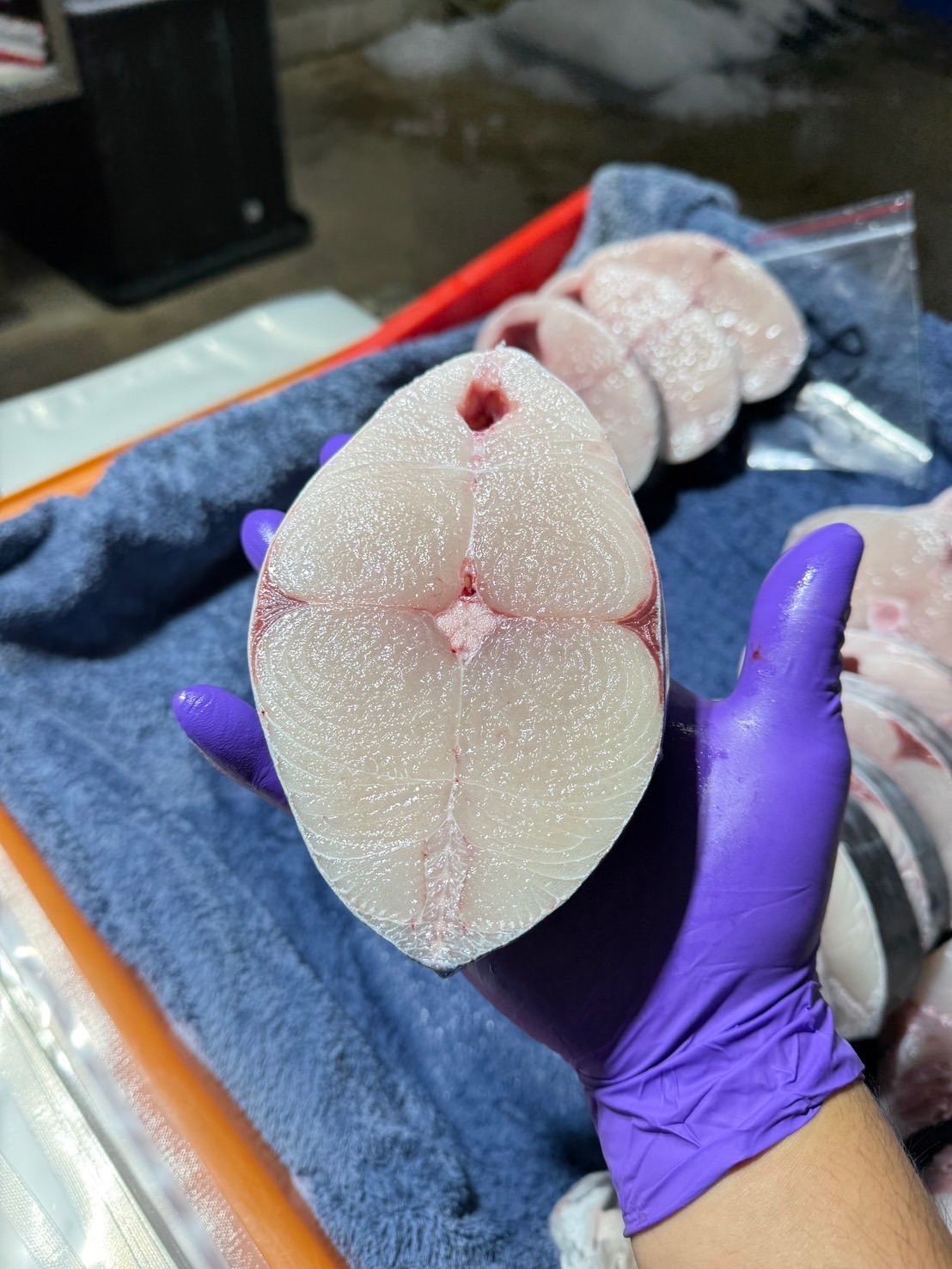 《季節限定》澎湖白金土魠魚