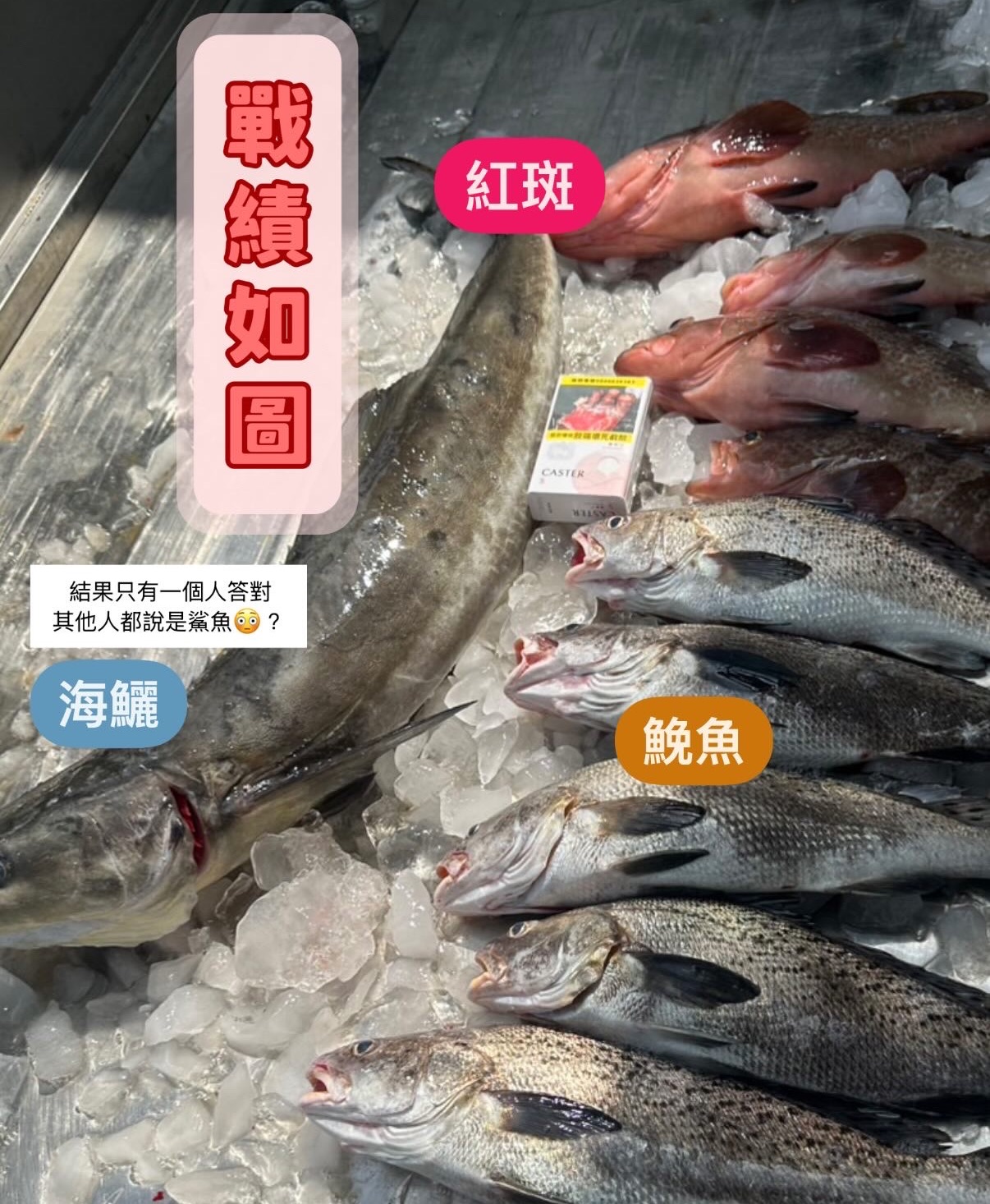 《腦闆手釣》限量海魚