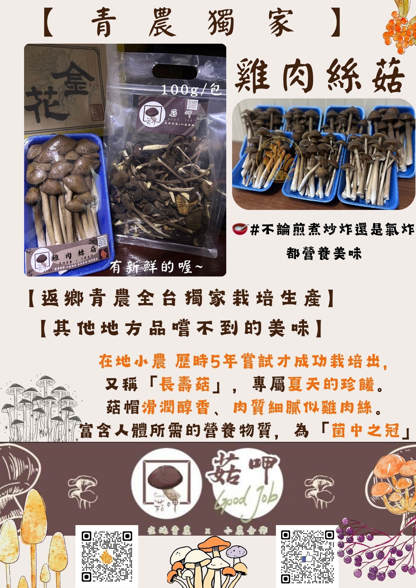 【👑菇呷獨家】青農自產 雞肉絲菇 （乾） 🍄全台獨家自產