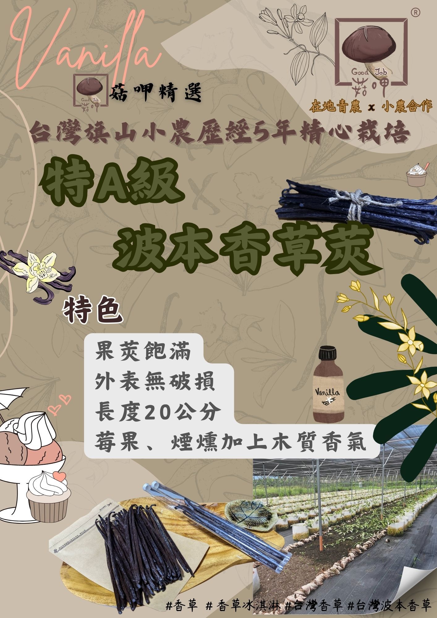 【小農合作】 菇呷 特A級 波本 香草莢 20公分級 台灣 旗山