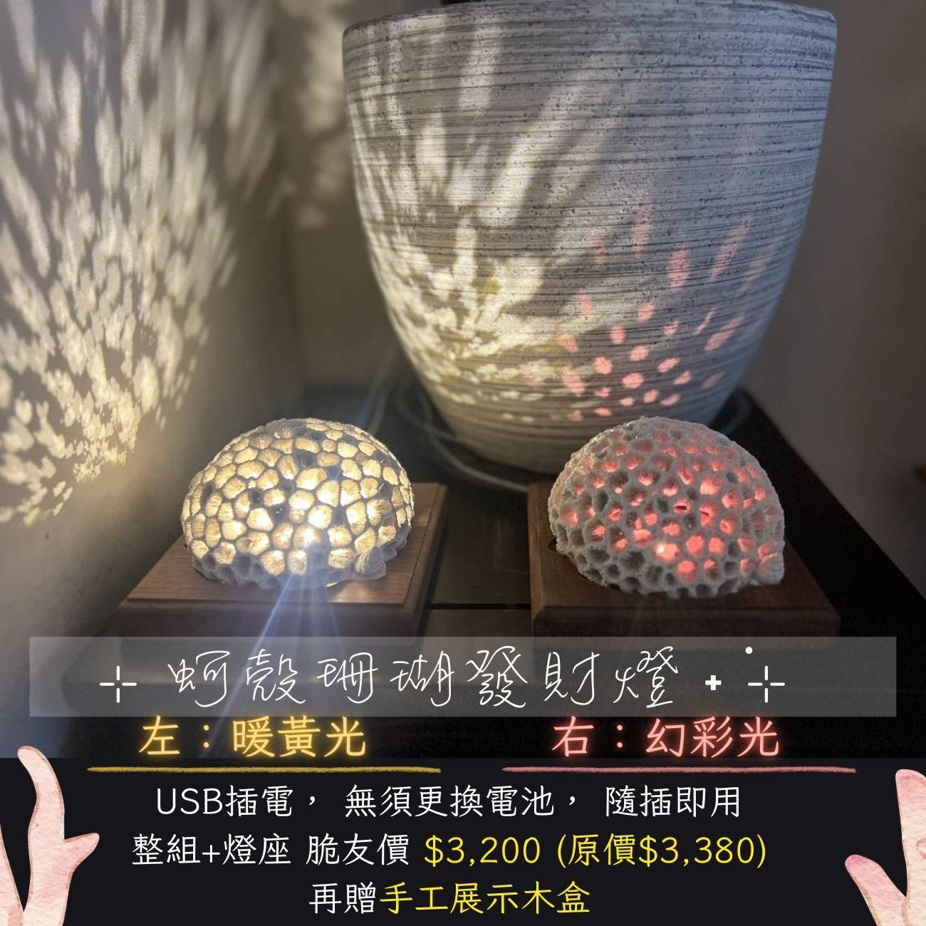 蚵殼珊瑚燈-共兩款
